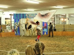 IMG_5267_web